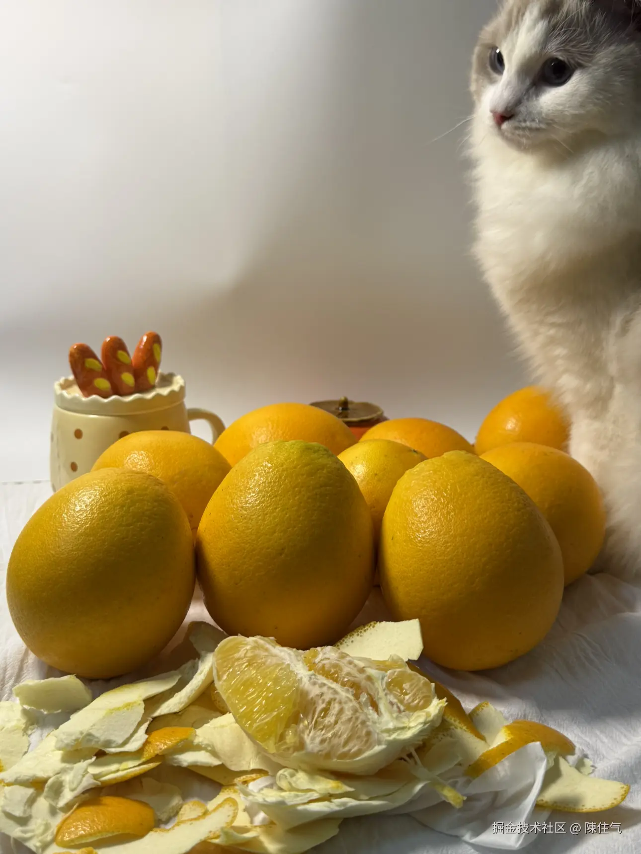 陳住气于2024-11-19 08:58发布的图片