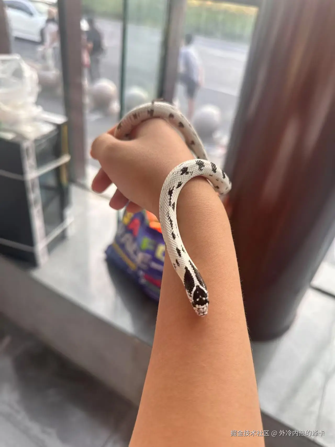 外冷内热的泽卡于2025-08-18 15:55发布的图片