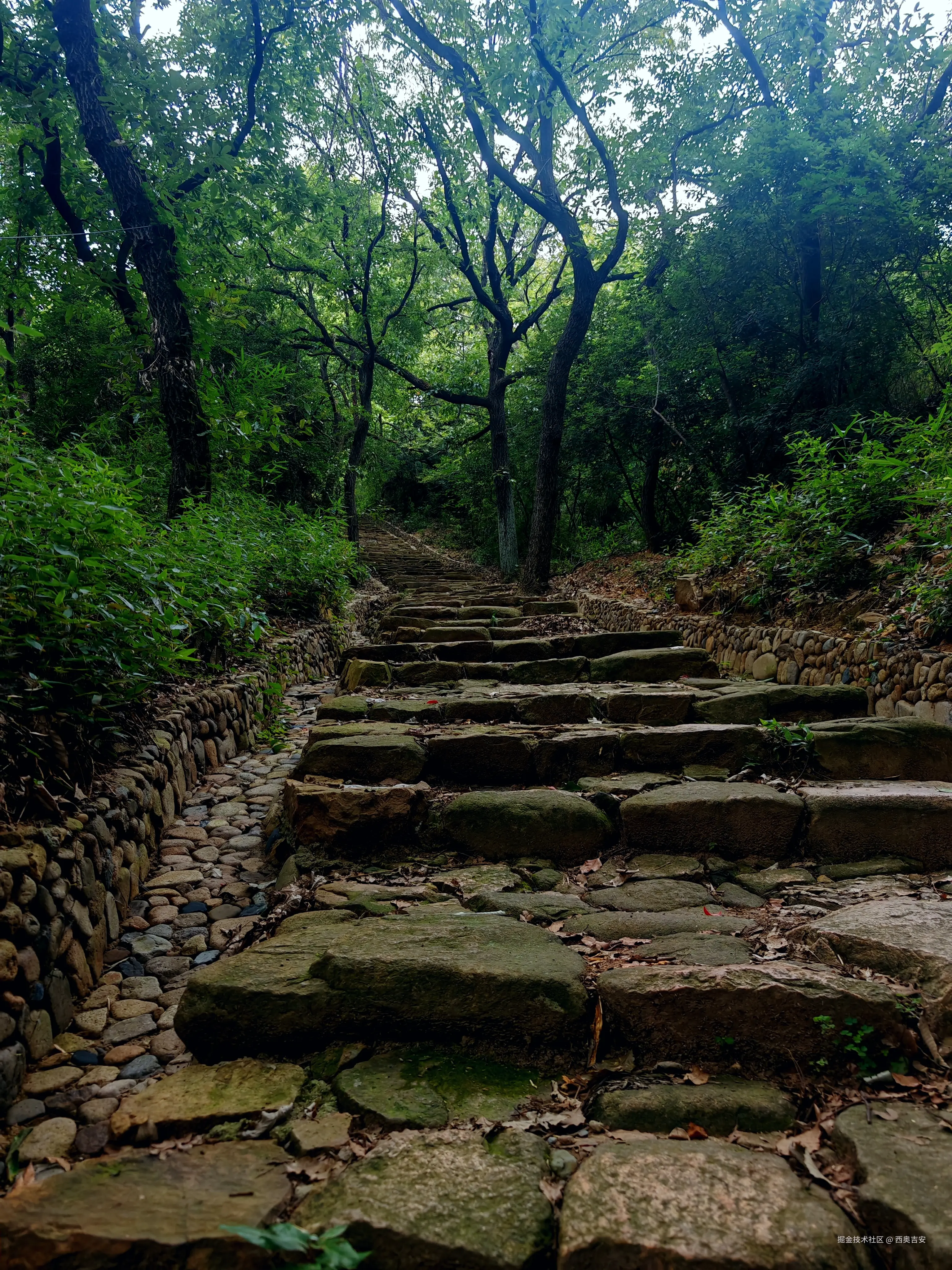 西奥吉安于2025-07-31 13:12发布的图片