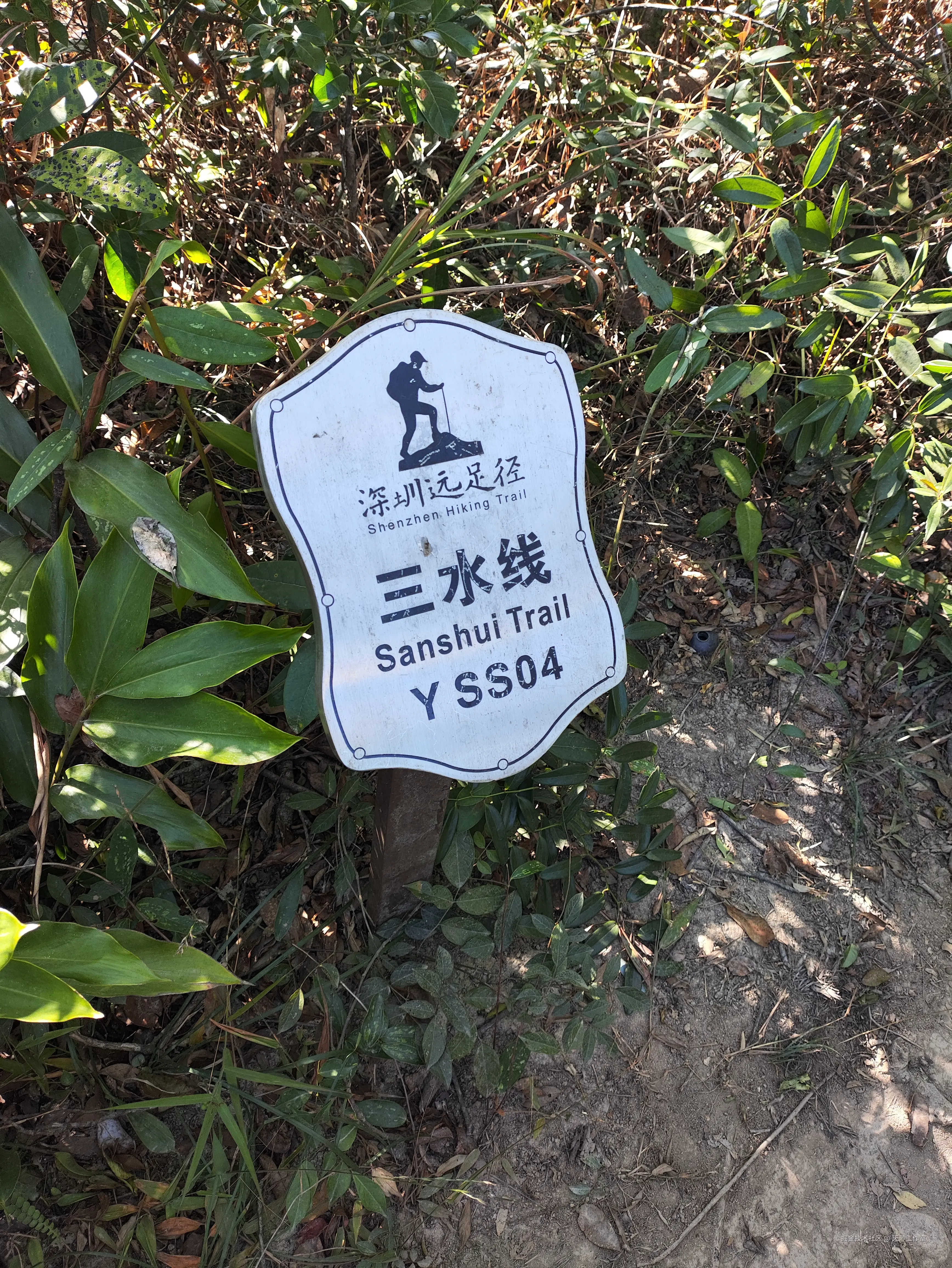 天渺工作室于2025-11-24 04:40发布的图片