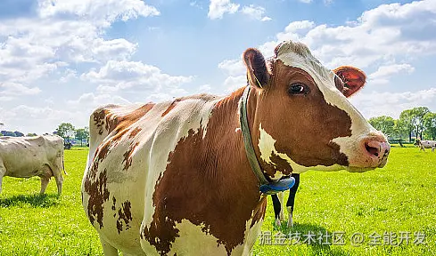 全能开发于2025-10-23 11:13发布的图片