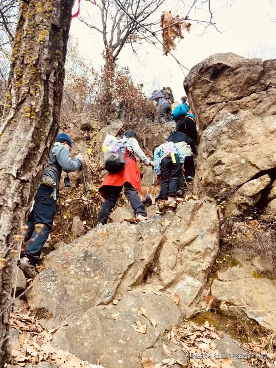 在云端写诗于2025-10-20 10:47发布的图片