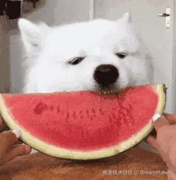 DreamMaker于2025-01-03 13:41发布的图片