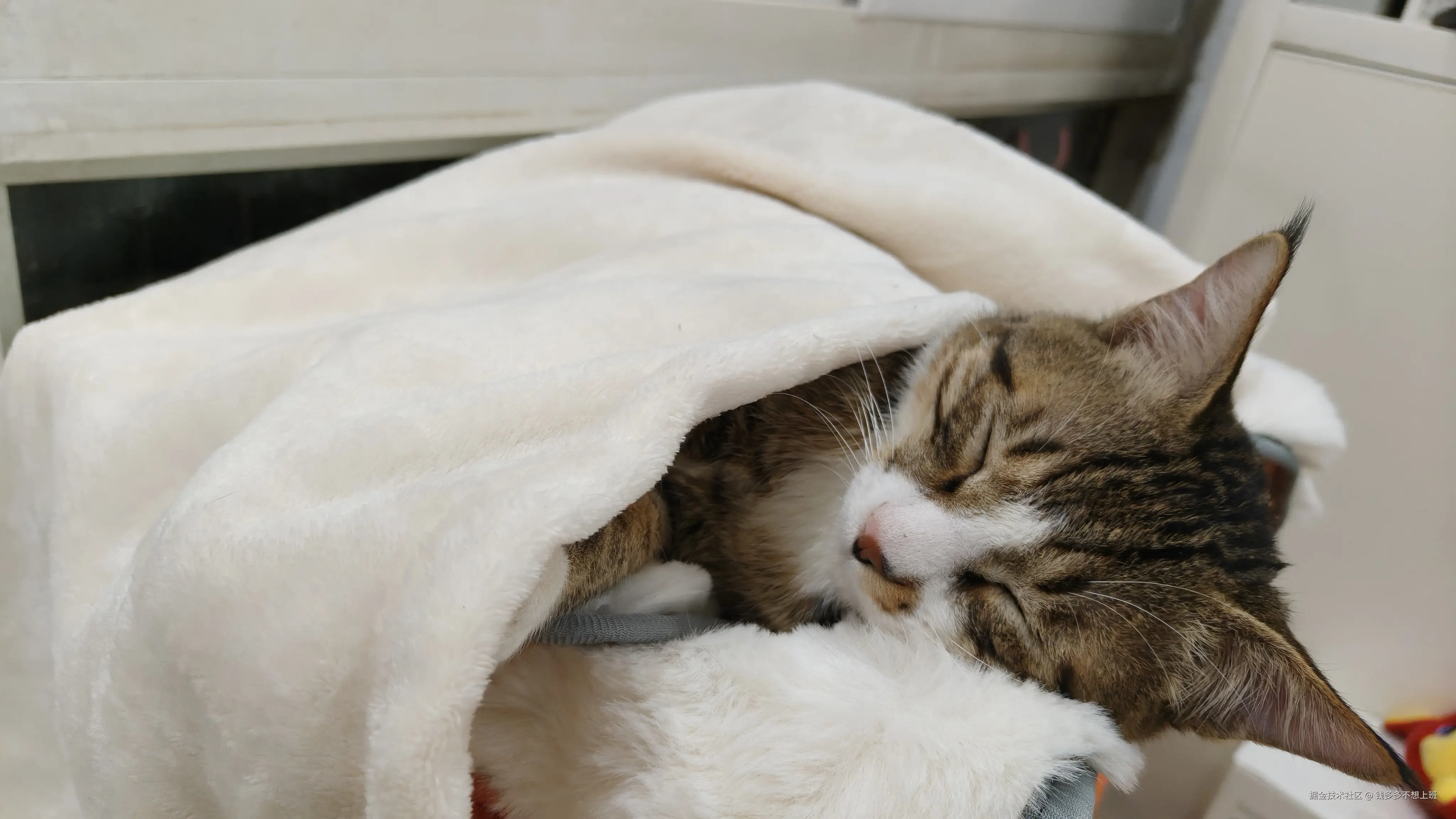 钱多多不想上班于2025-12-08 10:22发布的图片