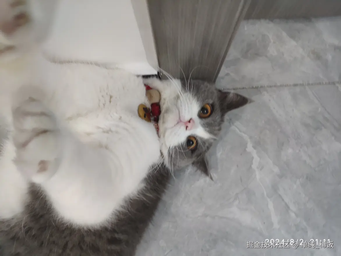 单纯_稀饭于2024-08-03 09:24发布的图片