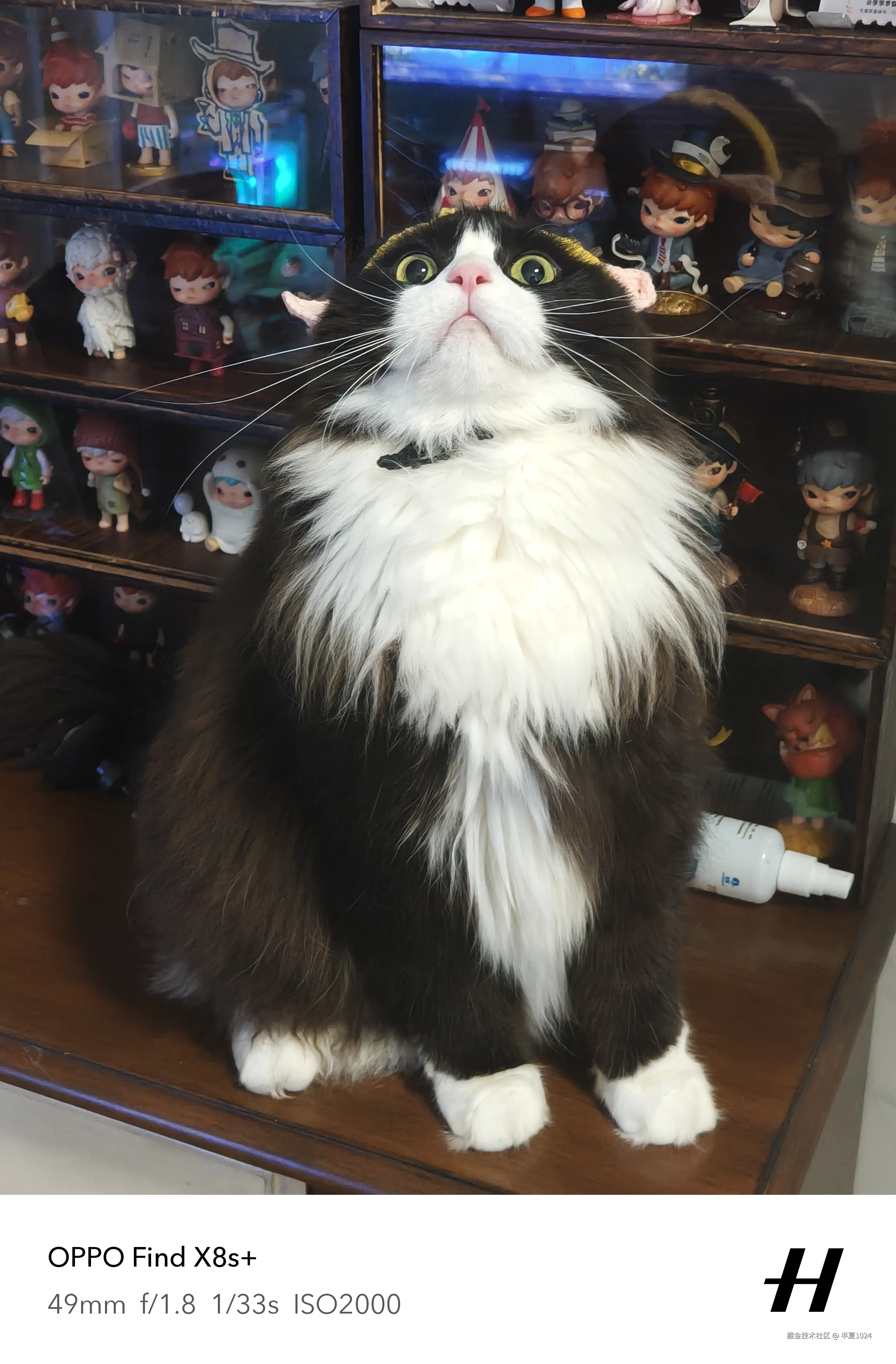 半夏1024于2025-06-25 11:23发布的图片