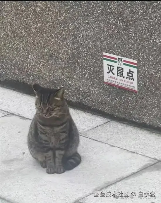 白手套于2025-10-15 17:28发布的图片