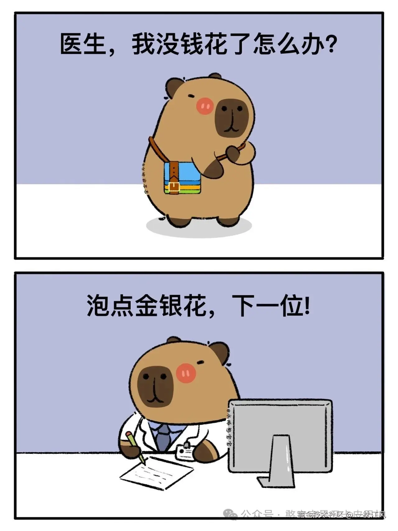 一枕江风于2026-02-03 11:14发布的图片