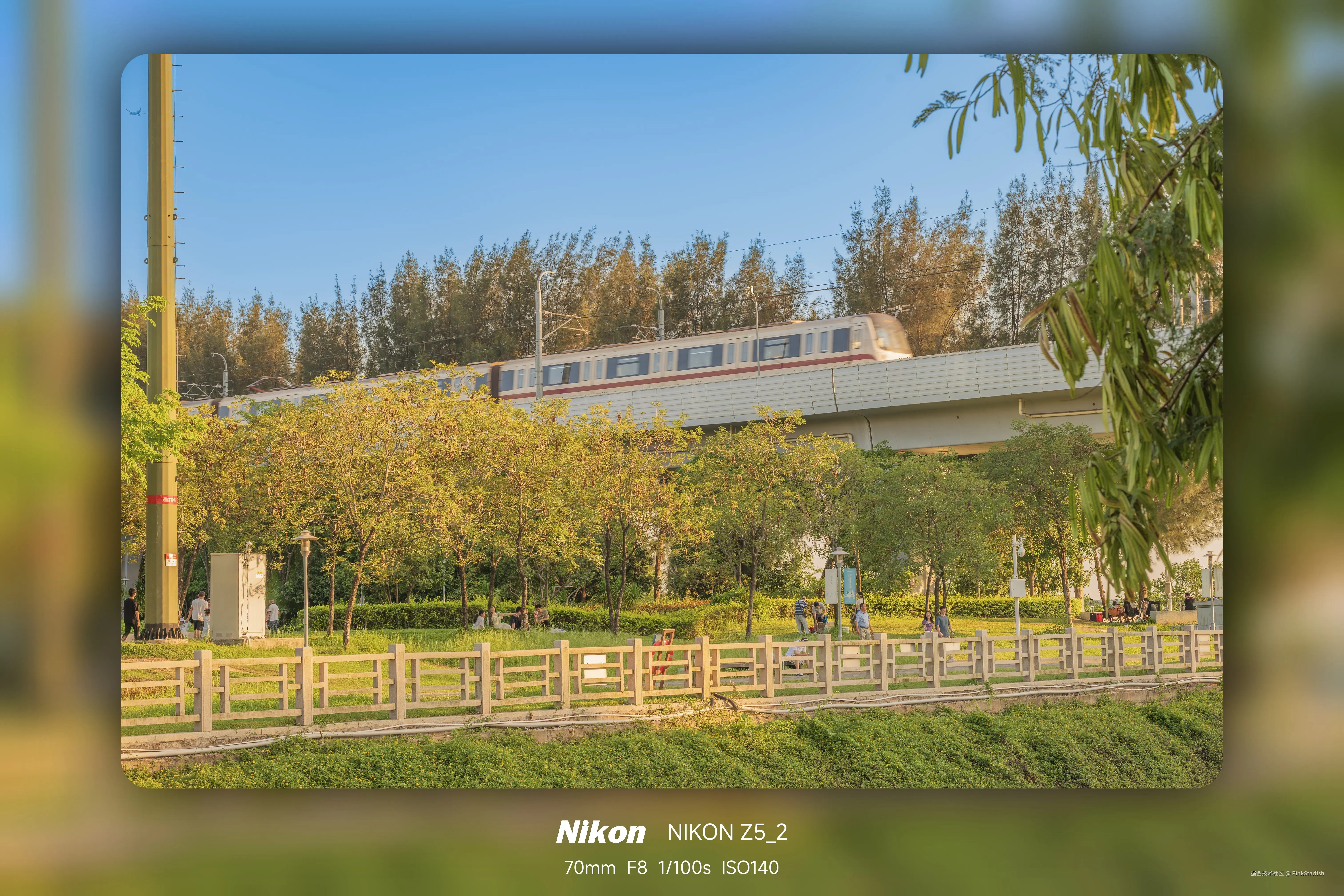 PinkStarfish于2025-06-10 10:49发布的图片