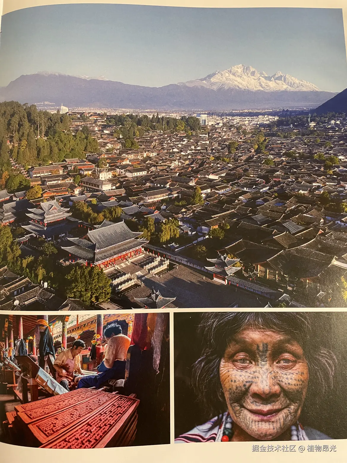 植物昂光于2026-03-08 15:56发布的图片