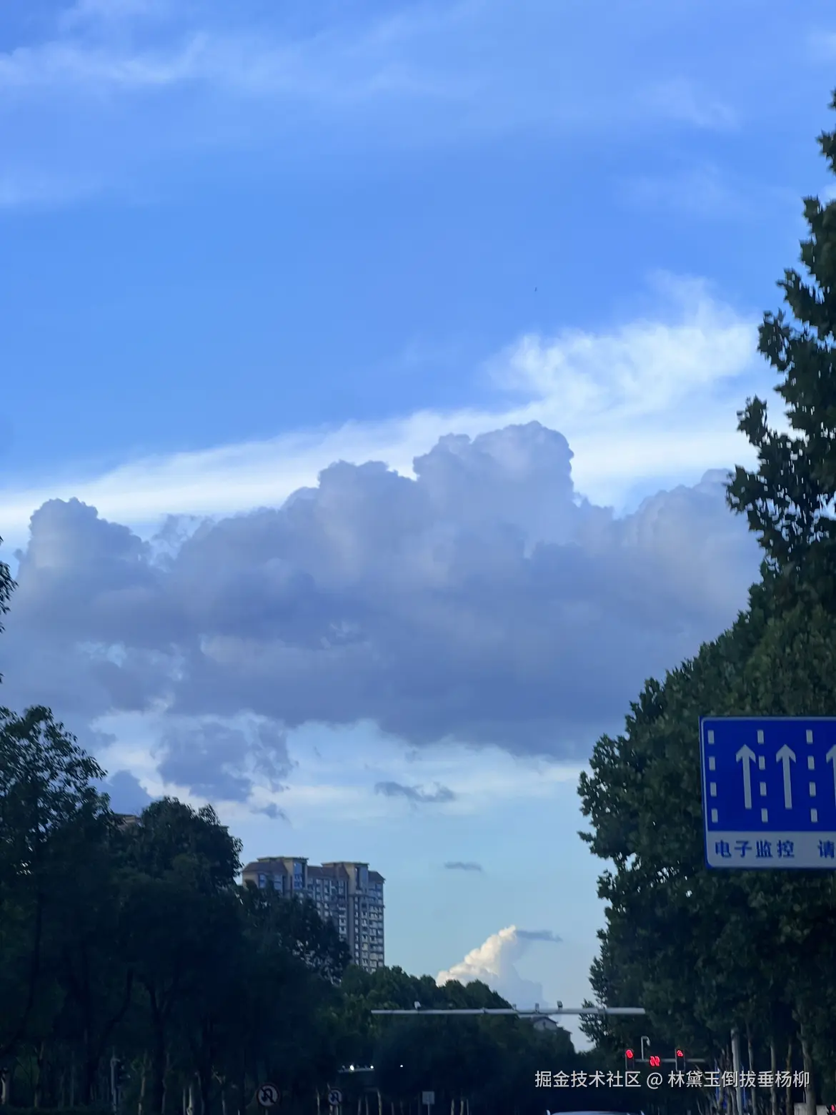 林黛玉倒拔垂杨柳于2025-07-01 11:13发布的图片