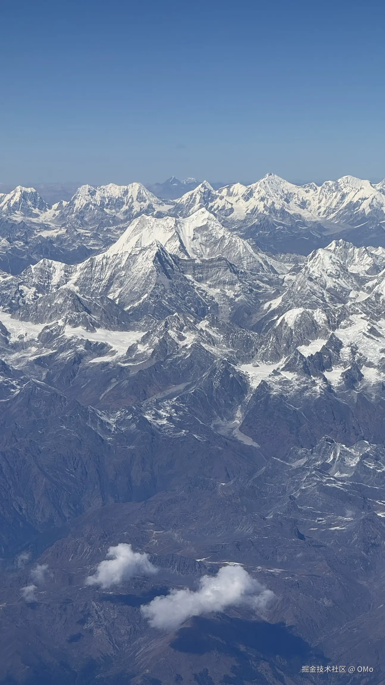 OMo于2026-01-27 11:50发布的图片