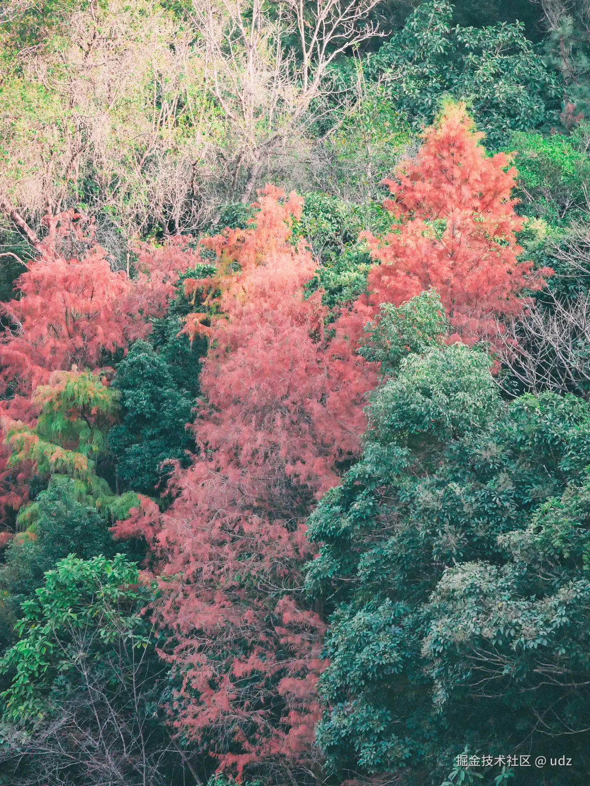 udz于2025-01-18 09:26发布的图片