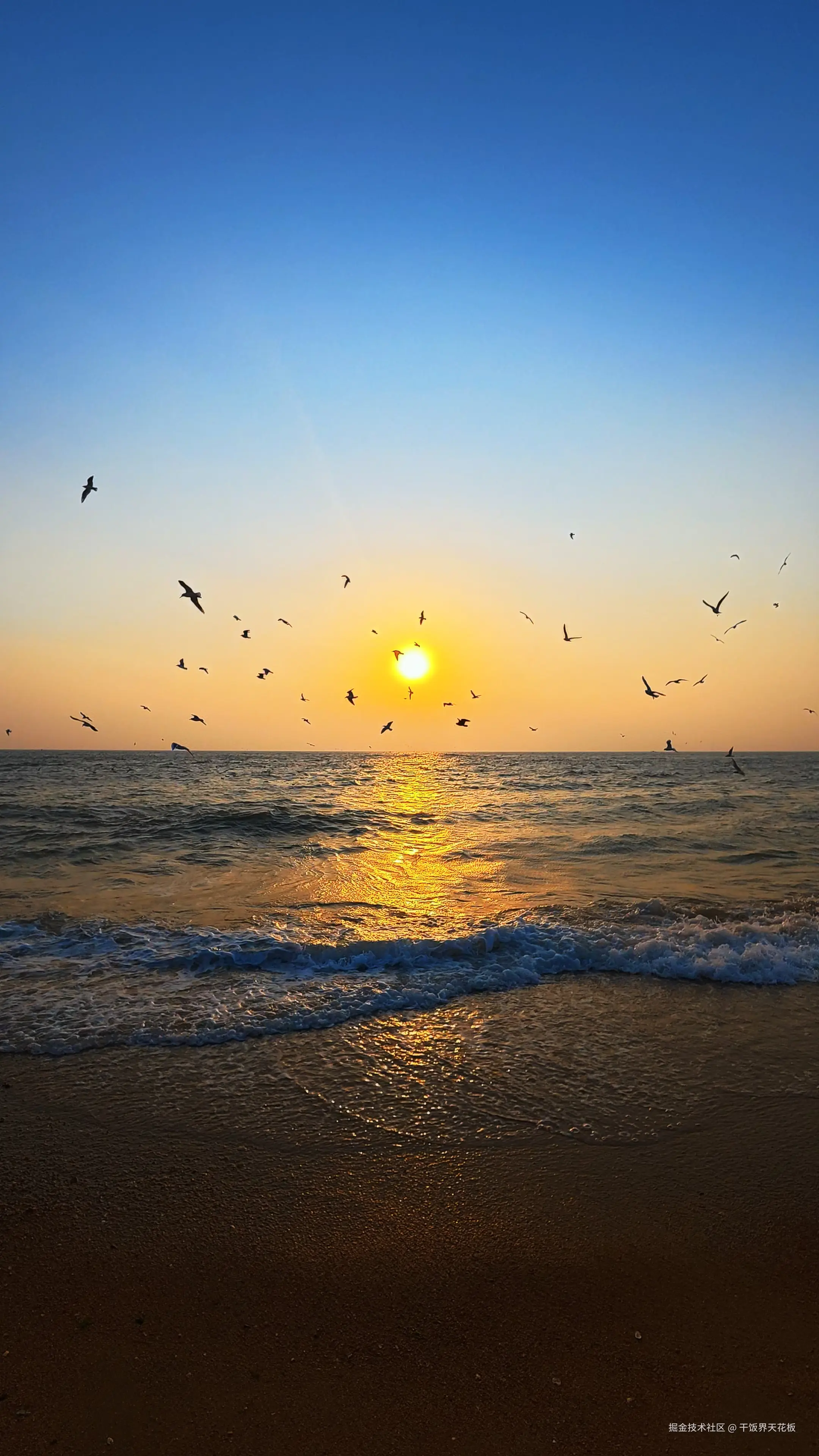 干饭界天花板于2026-04-05 08:21发布的图片