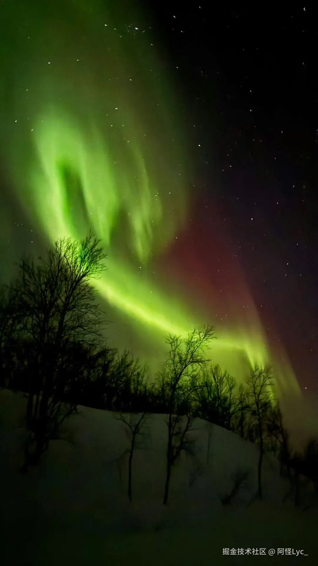 阿怪Lyc_于2025-02-11 09:52发布的图片