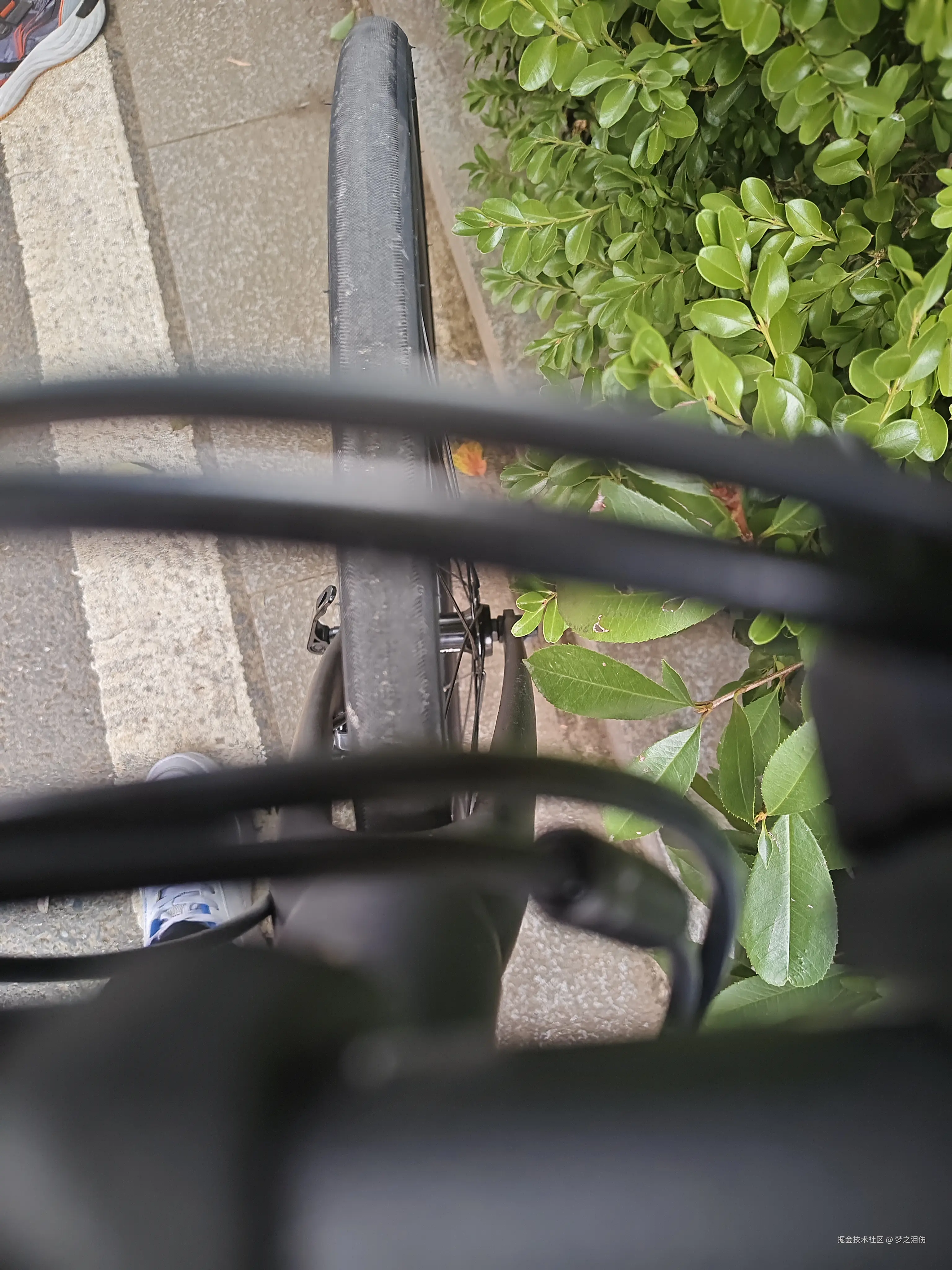 梦之泪伤于2024-08-17 11:22发布的图片