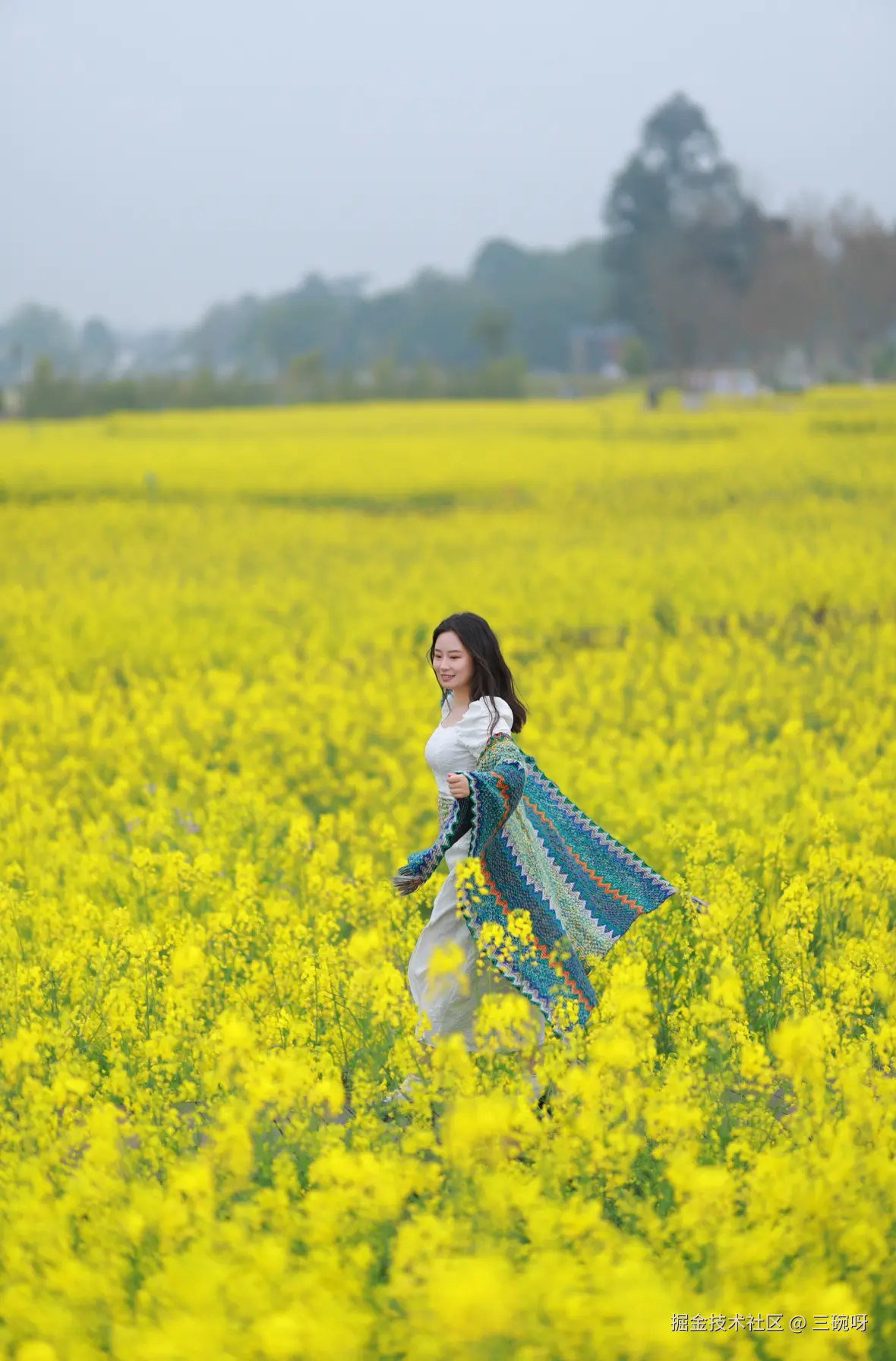 三碗呀于2026-03-09 10:37发布的图片