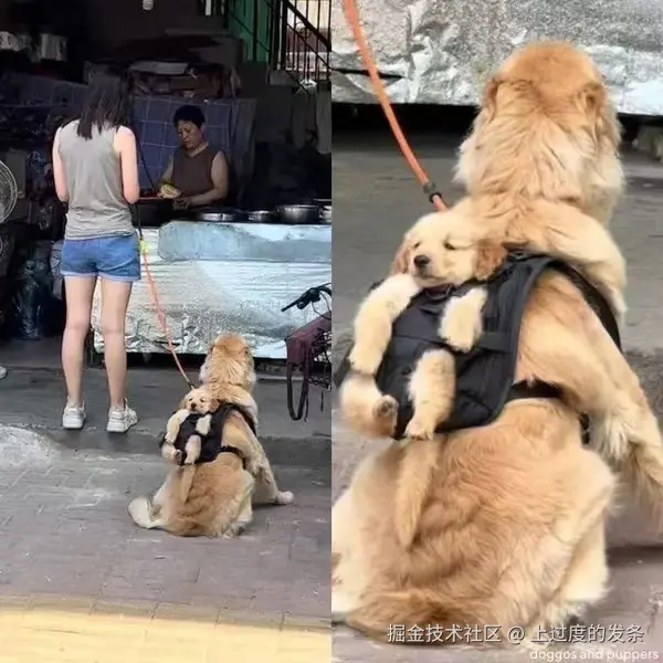 上过度的发条于2025-10-04 11:54发布的图片