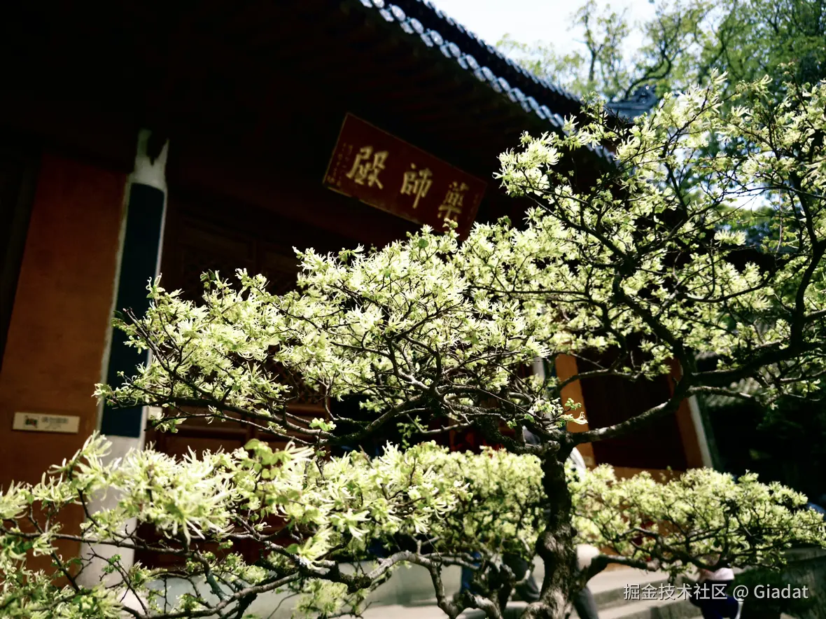 Giadat于2025-04-08 15:11发布的图片
