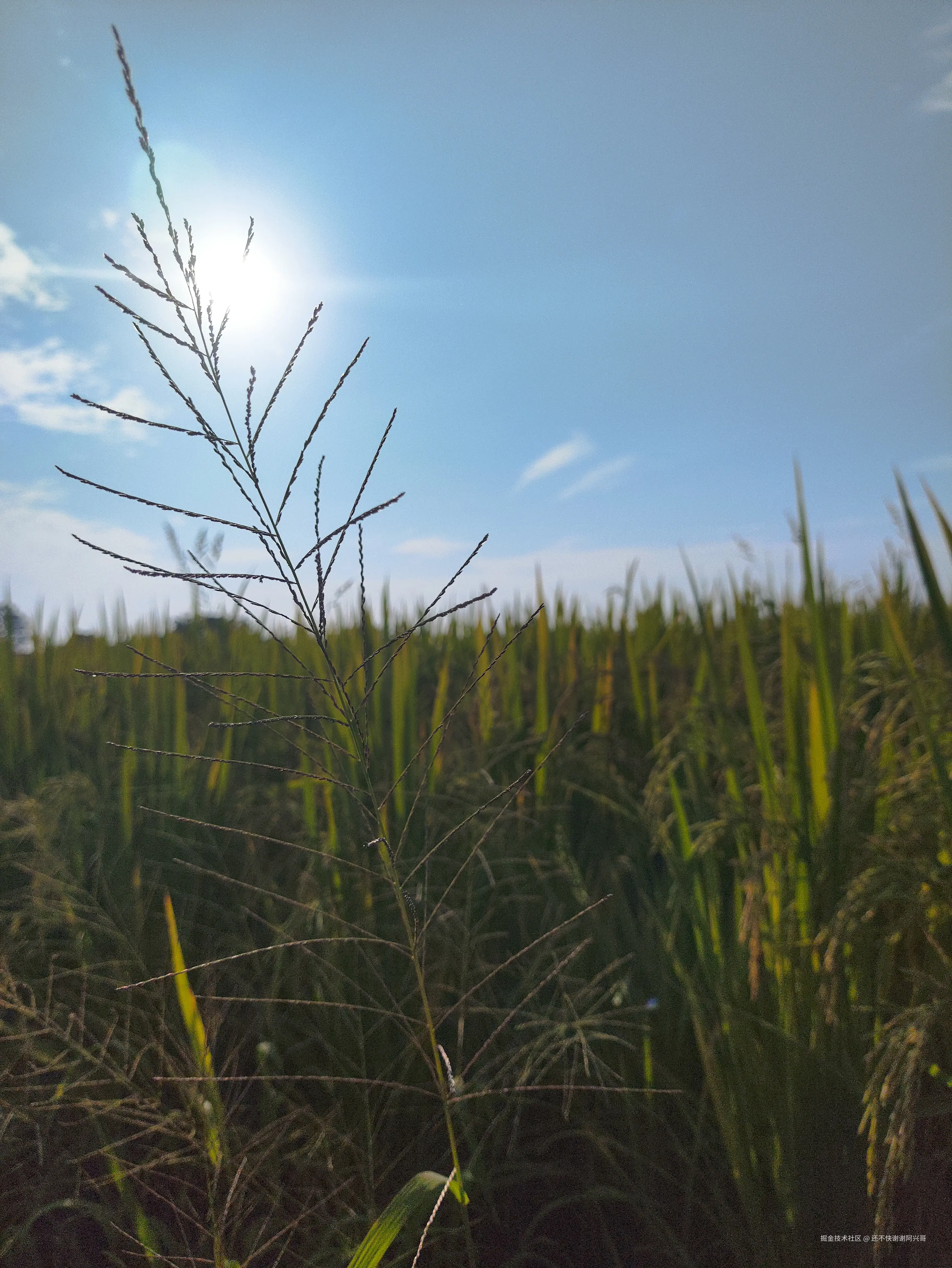 还不快谢谢阿兴哥于2025-10-27 10:05发布的图片