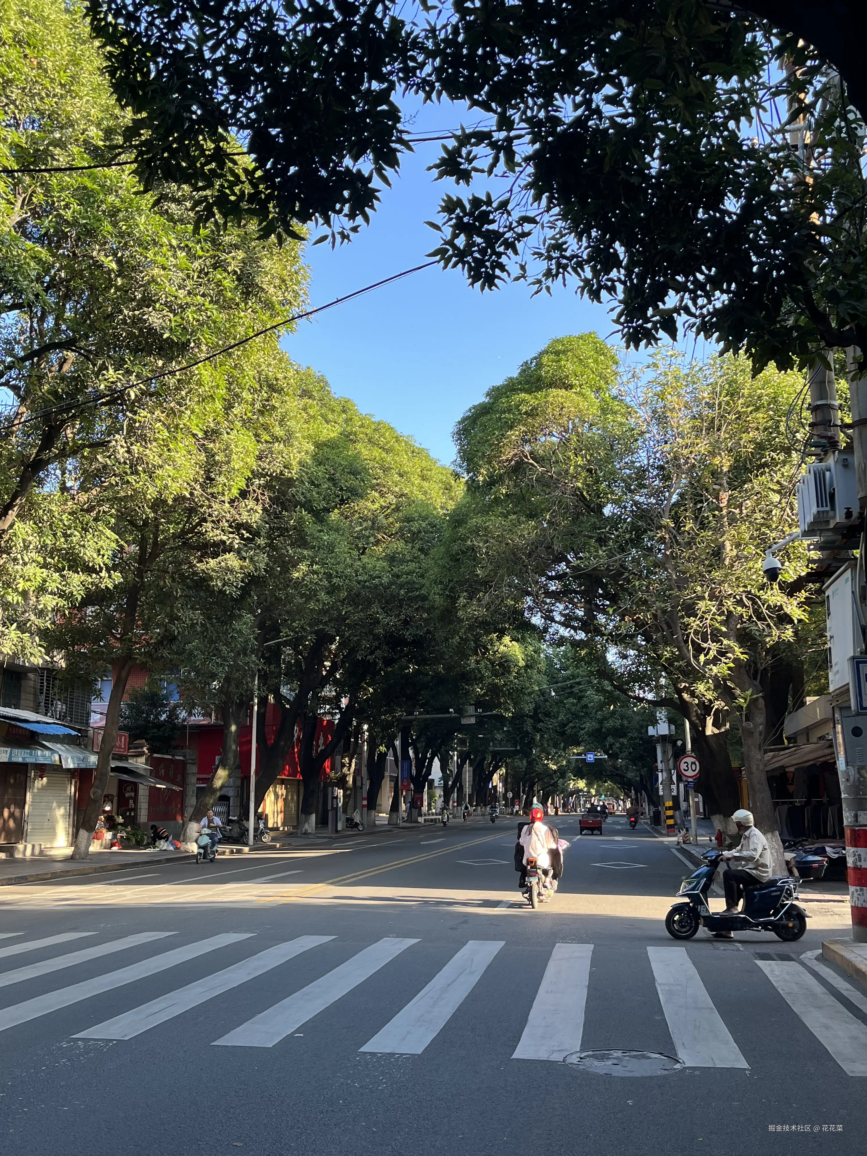 花花菜于2024-11-04 15:07发布的图片