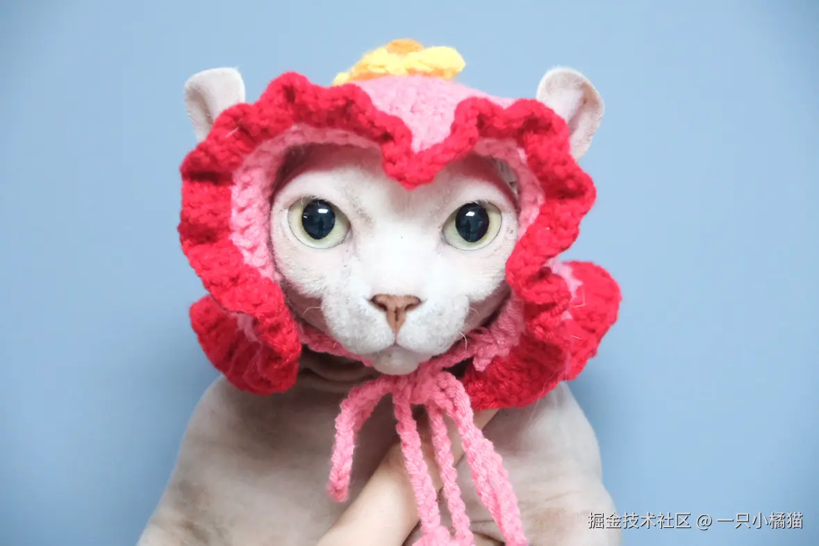 一只小橘猫于2026-02-02 10:27发布的图片