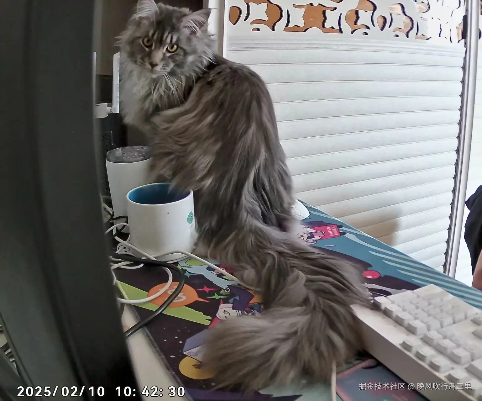 晚风吹行舟三里于2025-02-10 11:11发布的图片