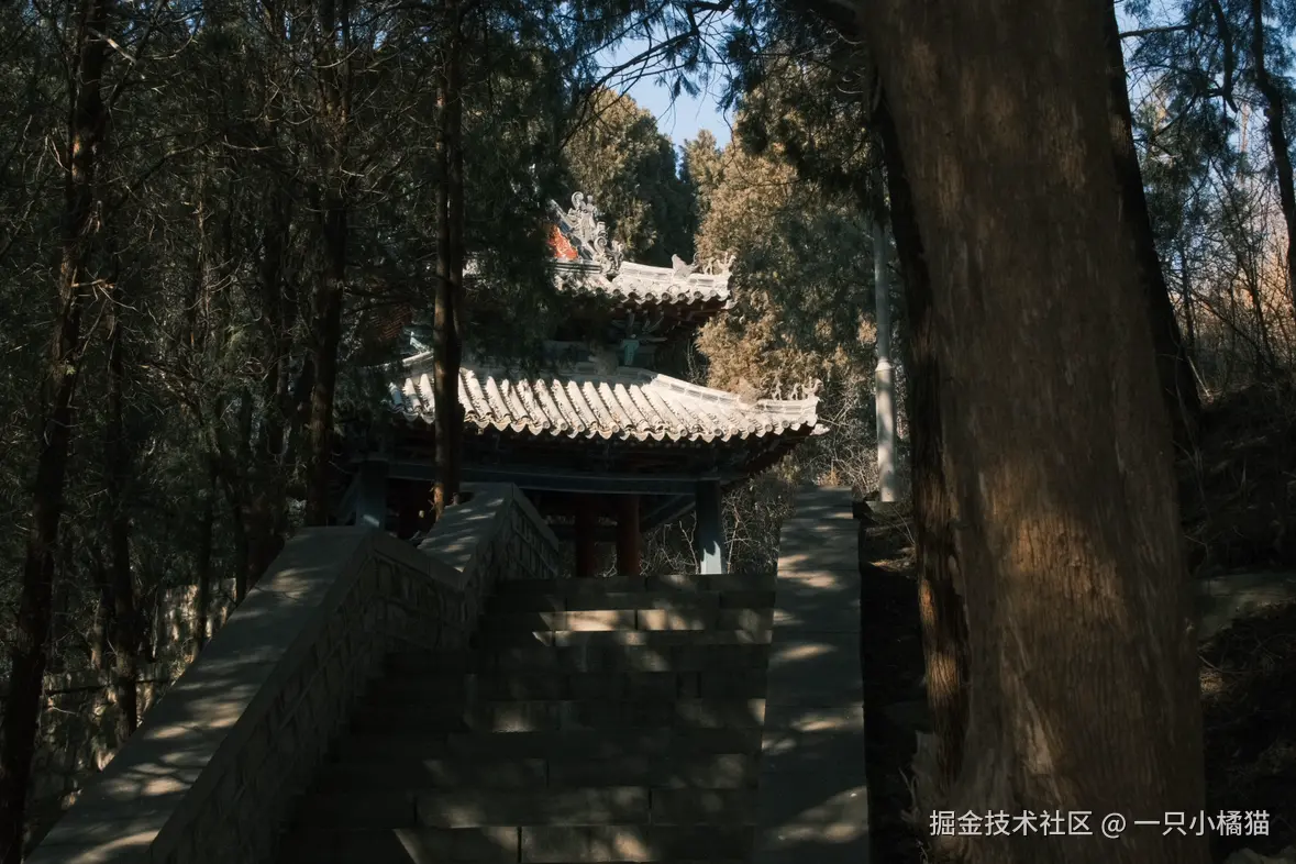 一只小橘猫于2026-02-09 09:16发布的图片