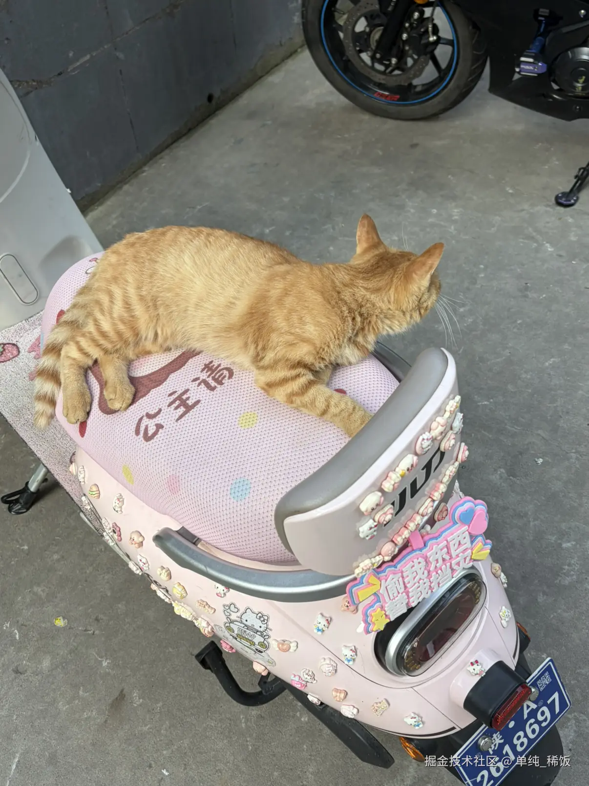 单纯_稀饭于2026-09-15 04:56发布的图片