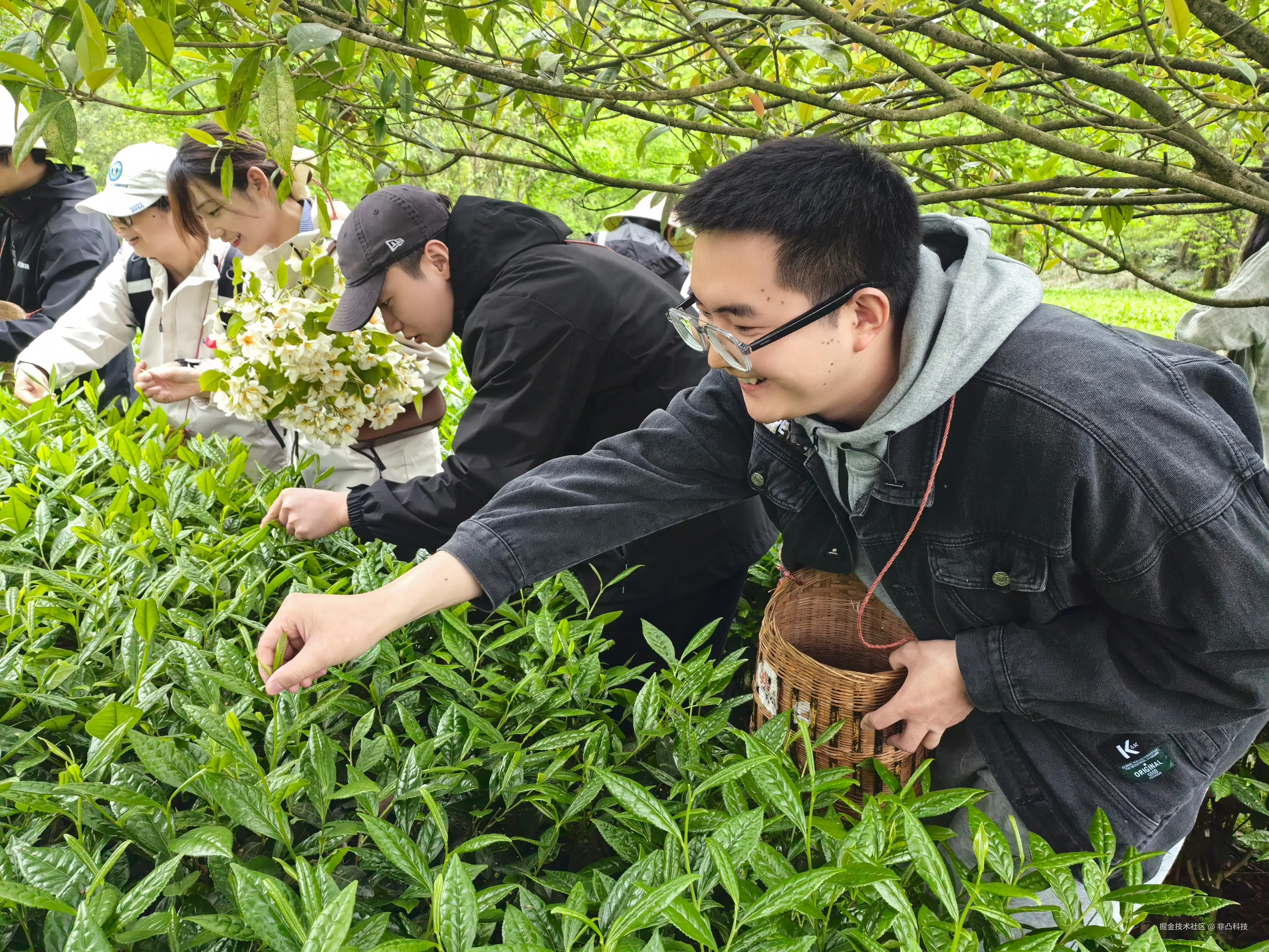 非凸科技于2025-04-30 05:08发布的图片