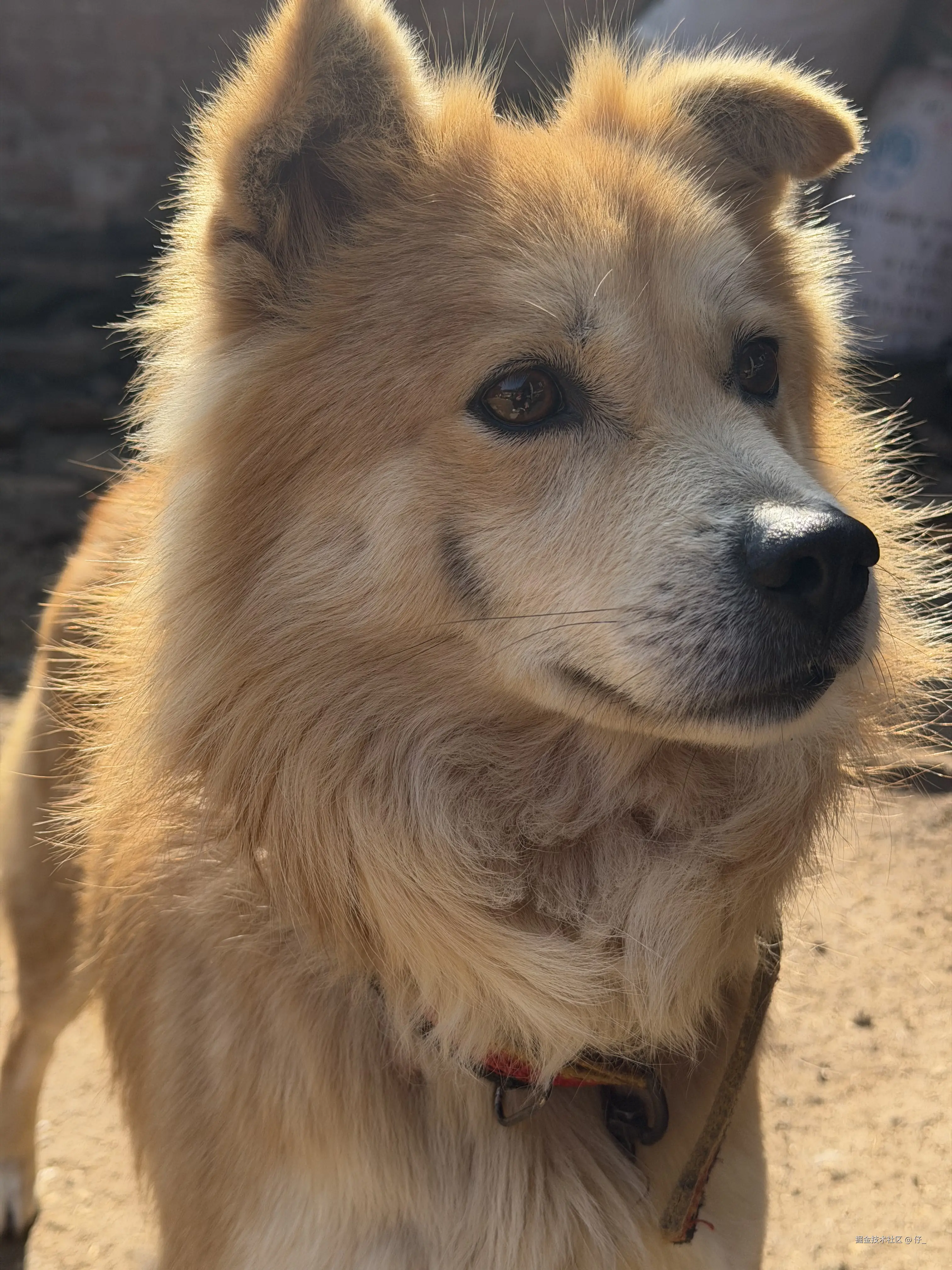 仔_于2026-02-24 13:09发布的图片