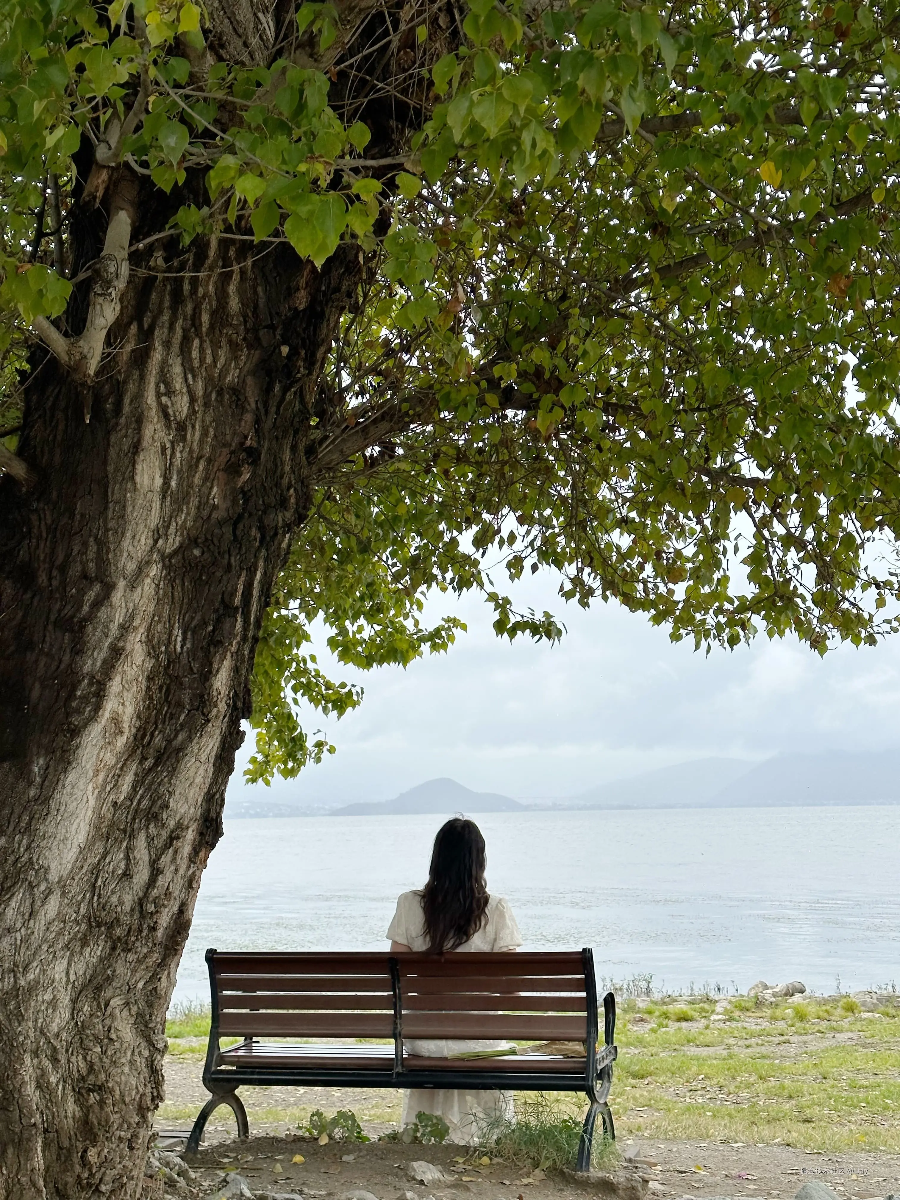 Jay丶于2024-10-09 11:12发布的图片