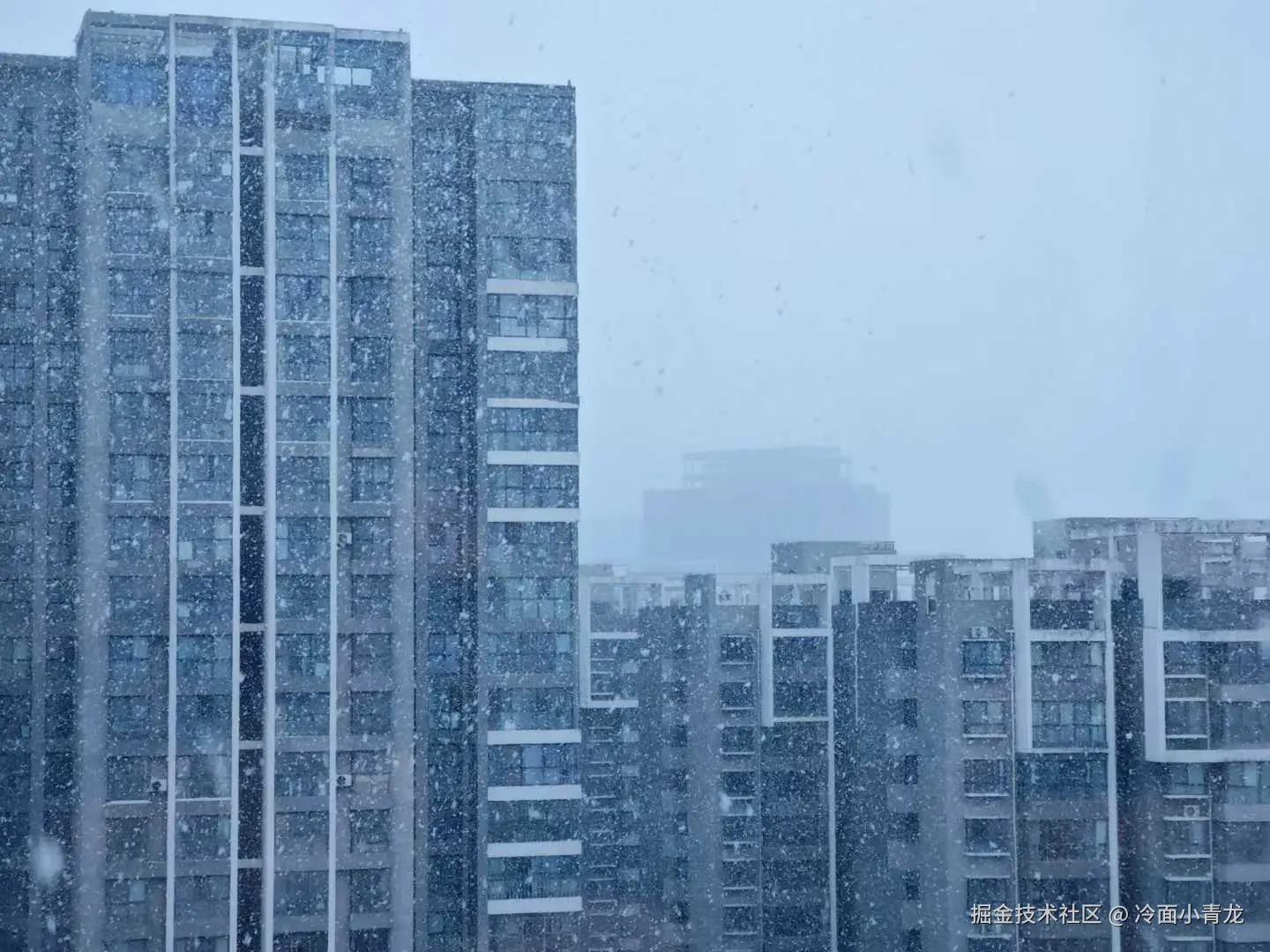 冷面小青龙于2025-03-03 16:18发布的图片