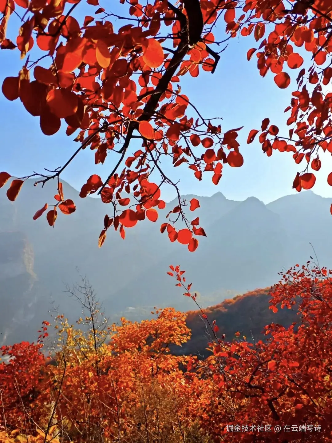 在云端写诗于2025-10-27 10:27发布的图片