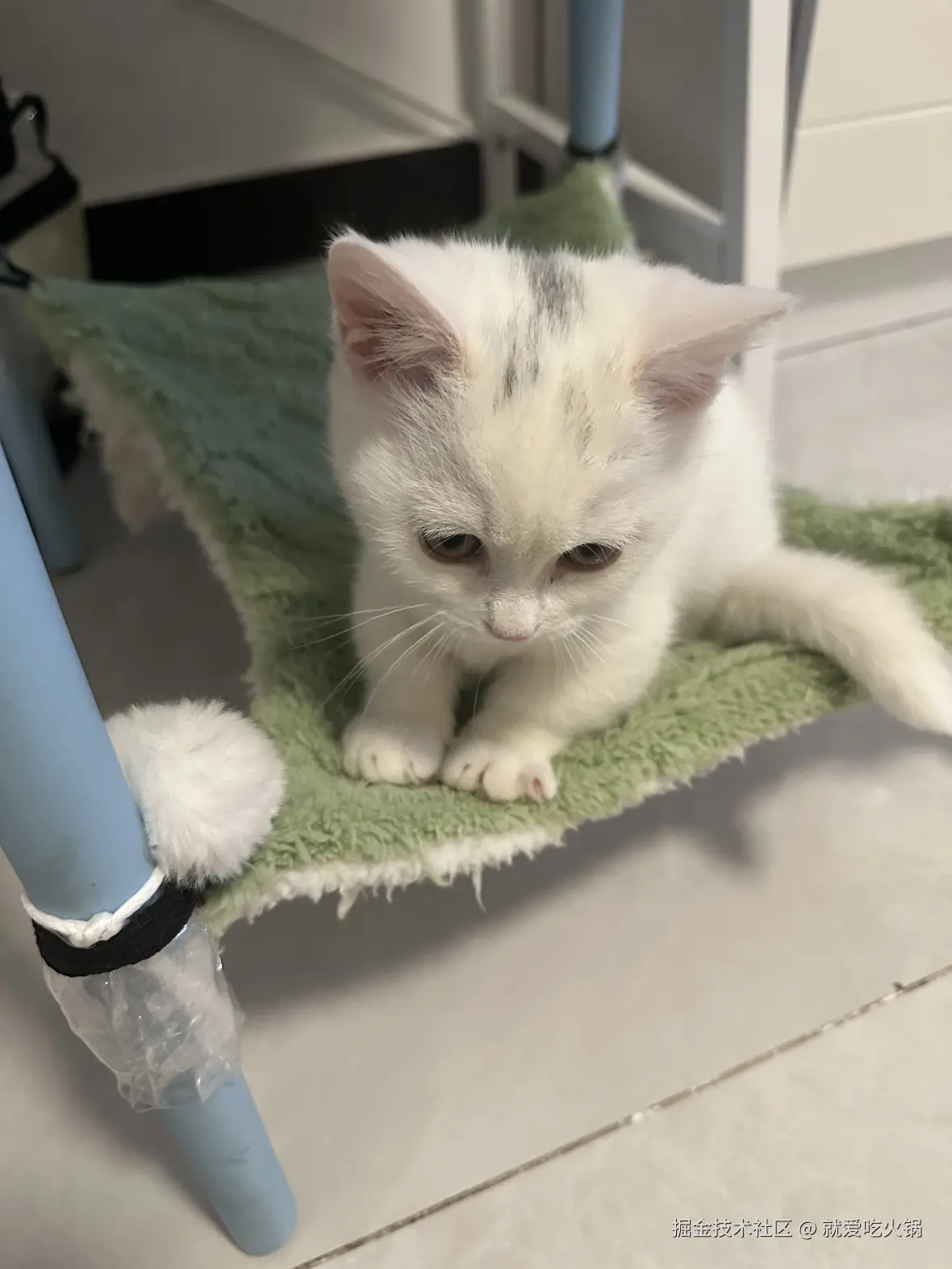 就爱吃火锅于2025-04-07 13:37发布的图片