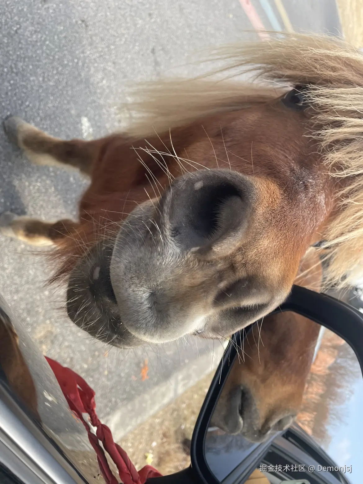 Demonjsj于2025-02-05 09:56发布的图片