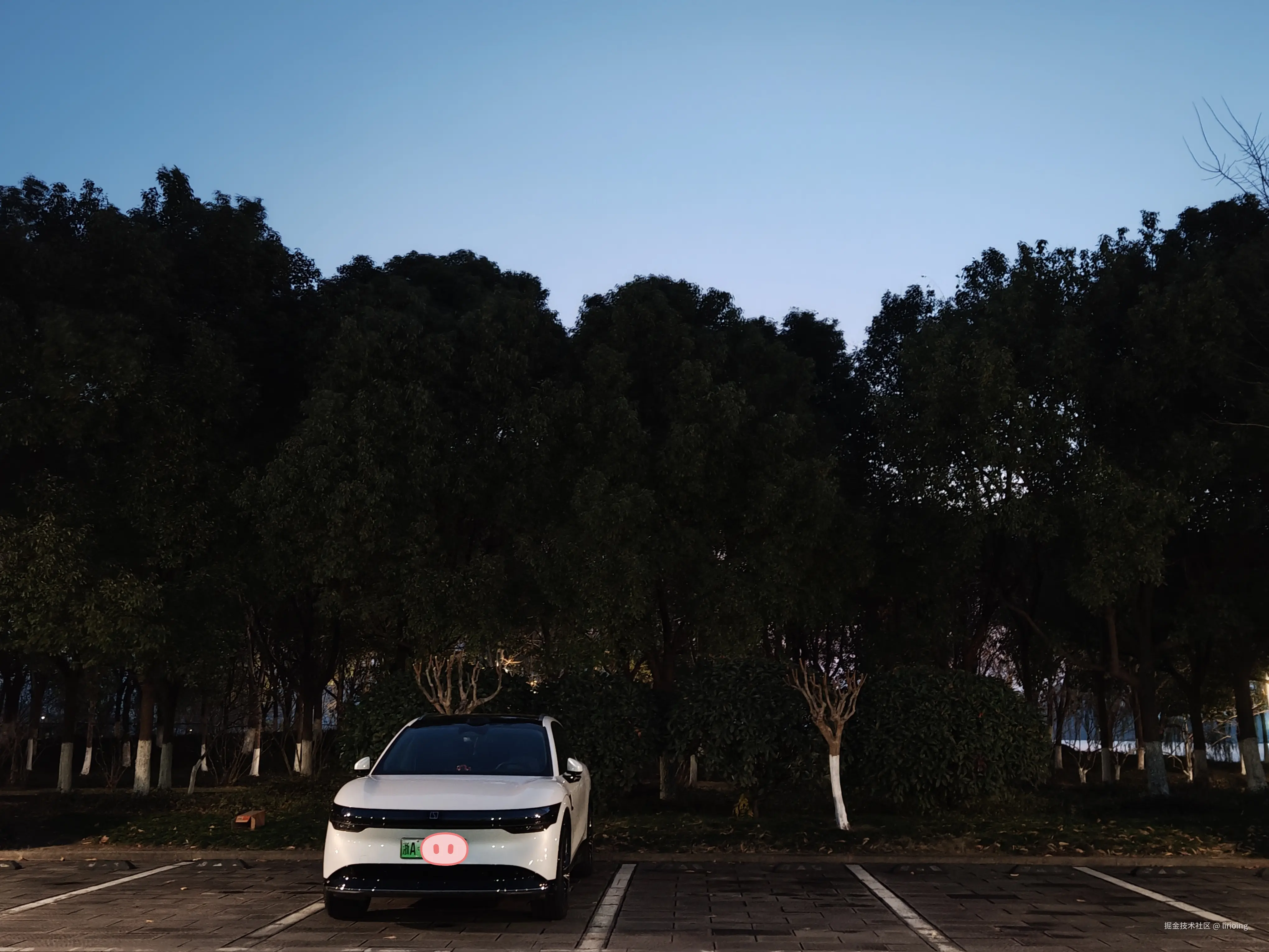 lirioing于2026-01-04 10:40发布的图片