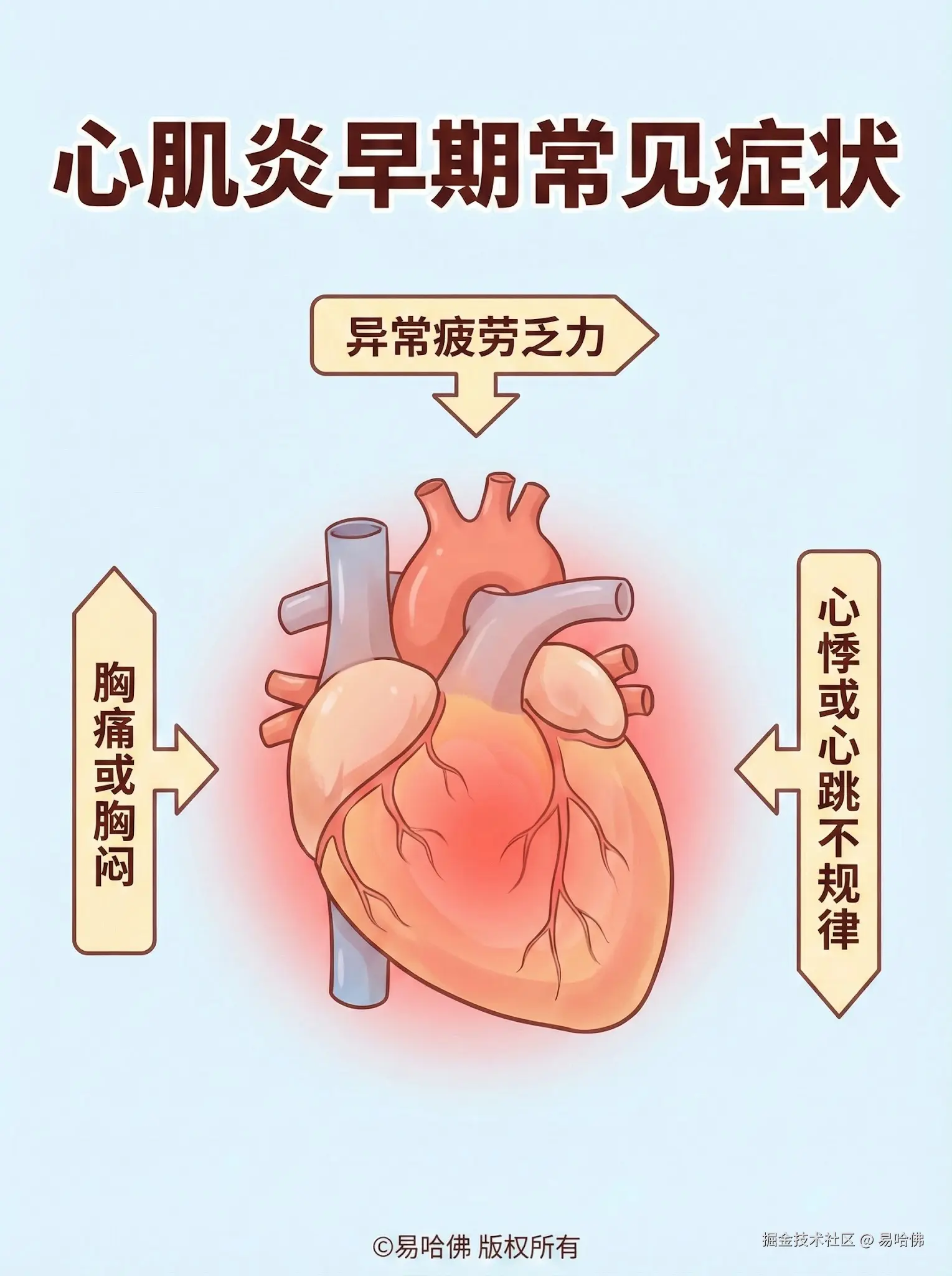 易哈佛于2026-01-04 11:20发布的图片