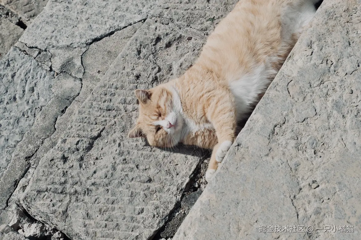 一只小橘猫于2024-11-17 16:56发布的图片