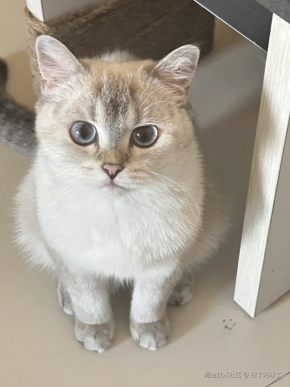 困了先睡了于2025-08-18 09:03发布的图片