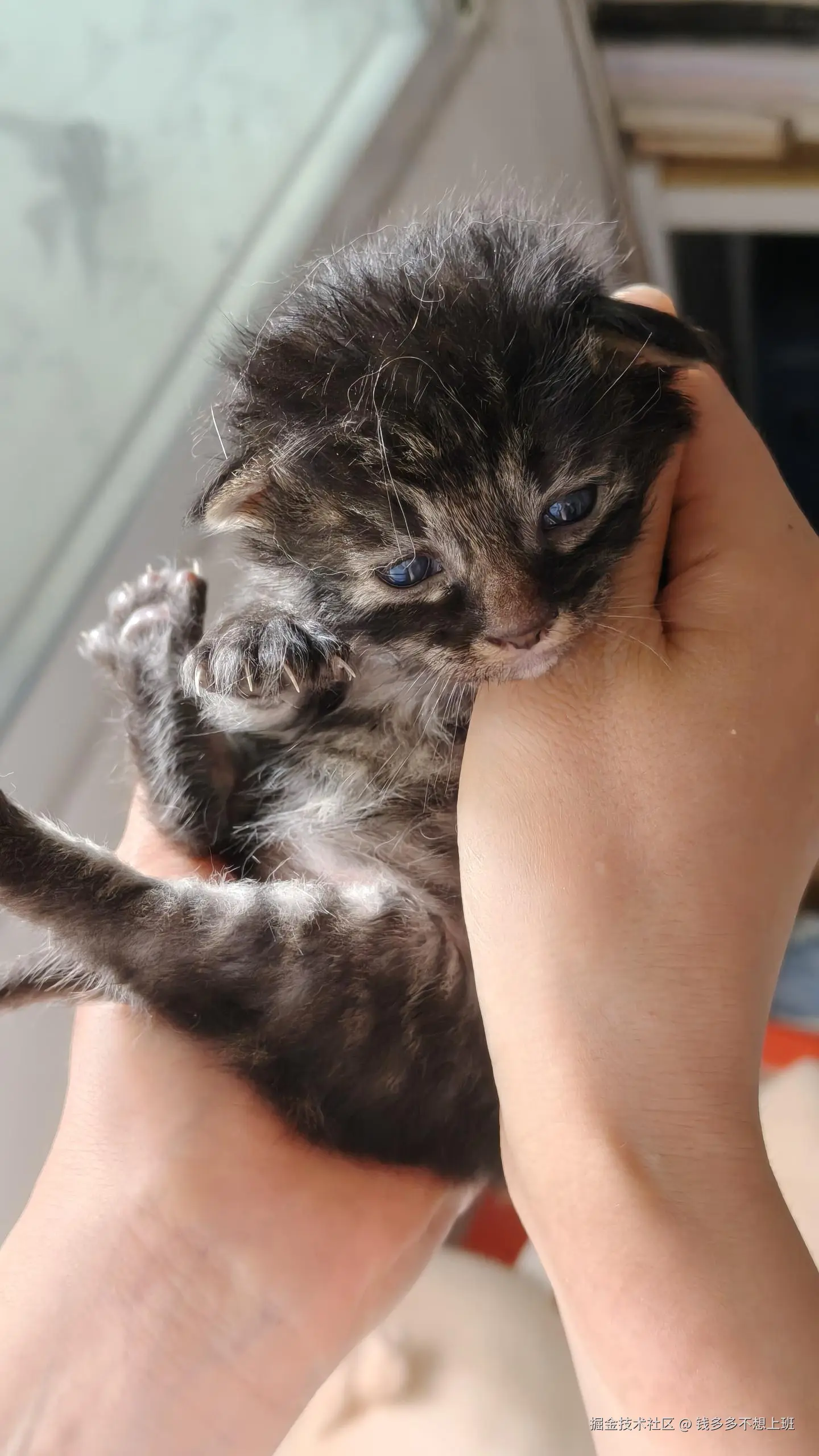 钱多多不想上班于2025-05-08 14:51发布的图片