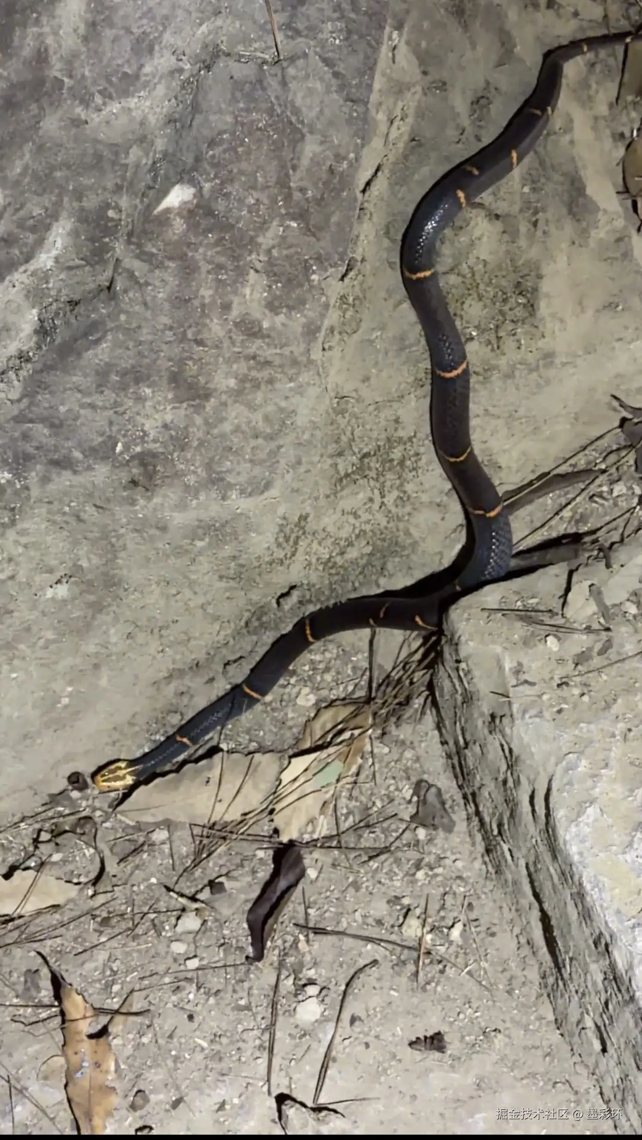 墨彩环于2025-12-03 08:37发布的图片