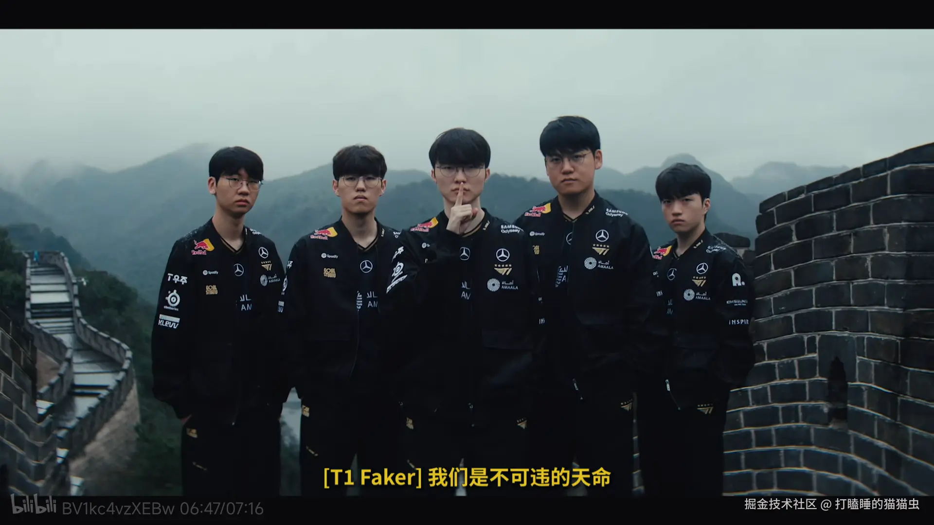 打瞌睡的猫猫虫于2025-10-15 13:56发布的图片