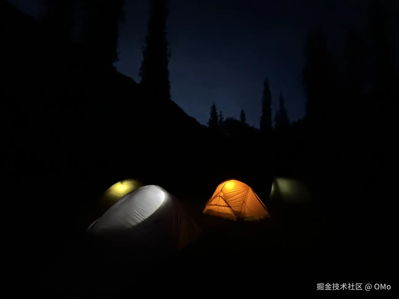 OMo于2026-01-23 09:58发布的图片