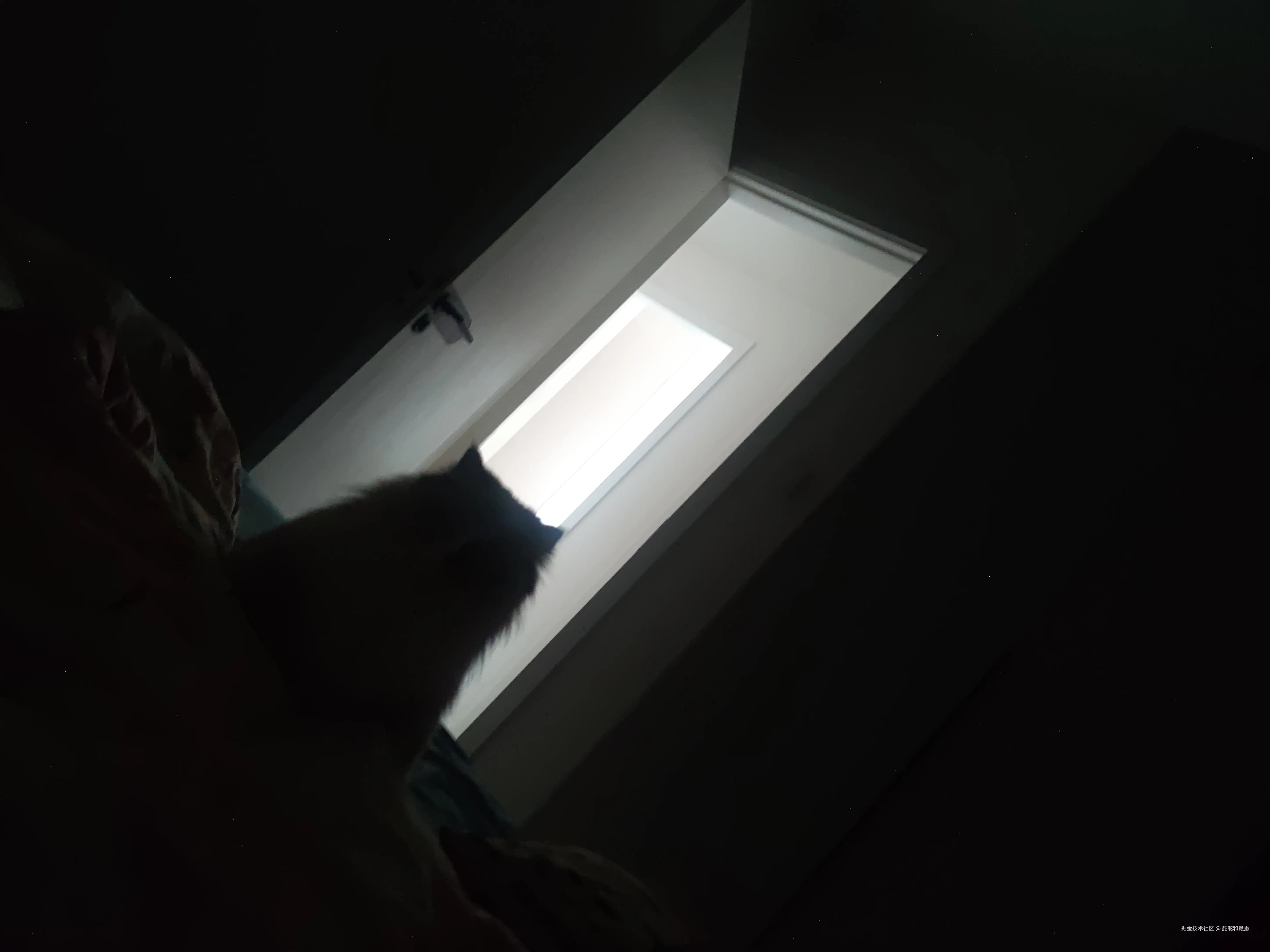 舵舵和撇撇于2026-03-10 10:26发布的图片