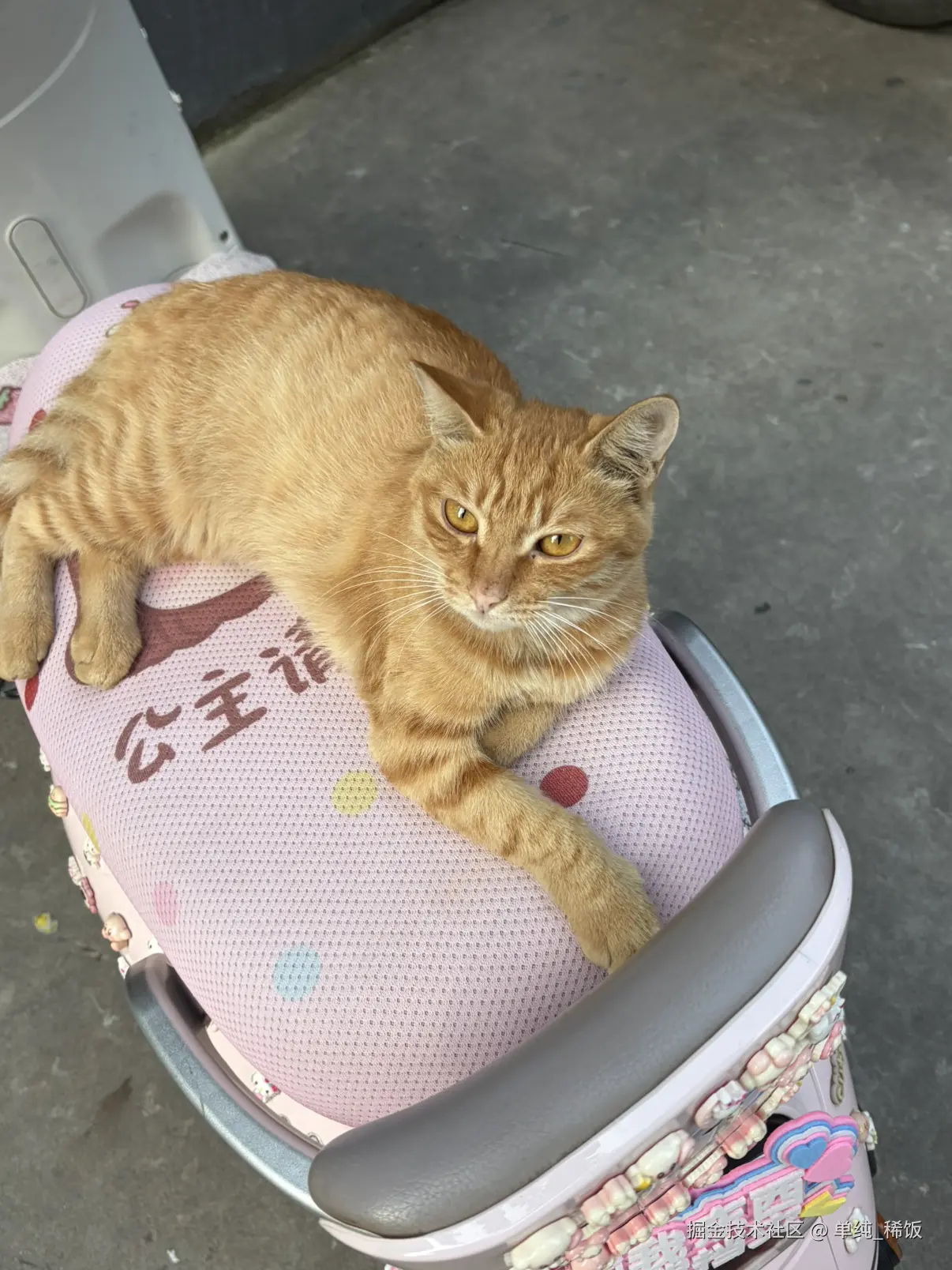 单纯_稀饭于2026-09-15 04:56发布的图片