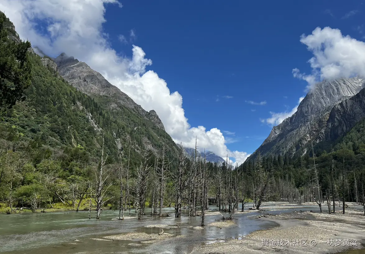一枕梦黄粱于2024-08-19 16:44发布的图片