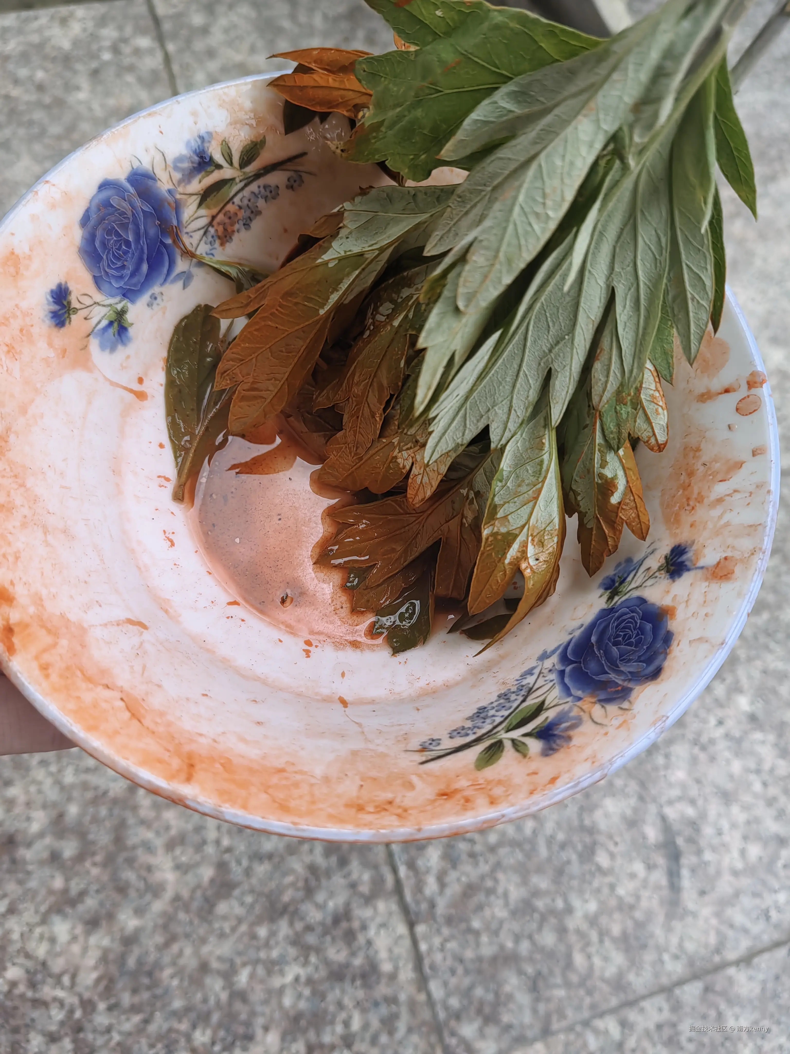 南方kenny于2025-05-31 11:47发布的图片