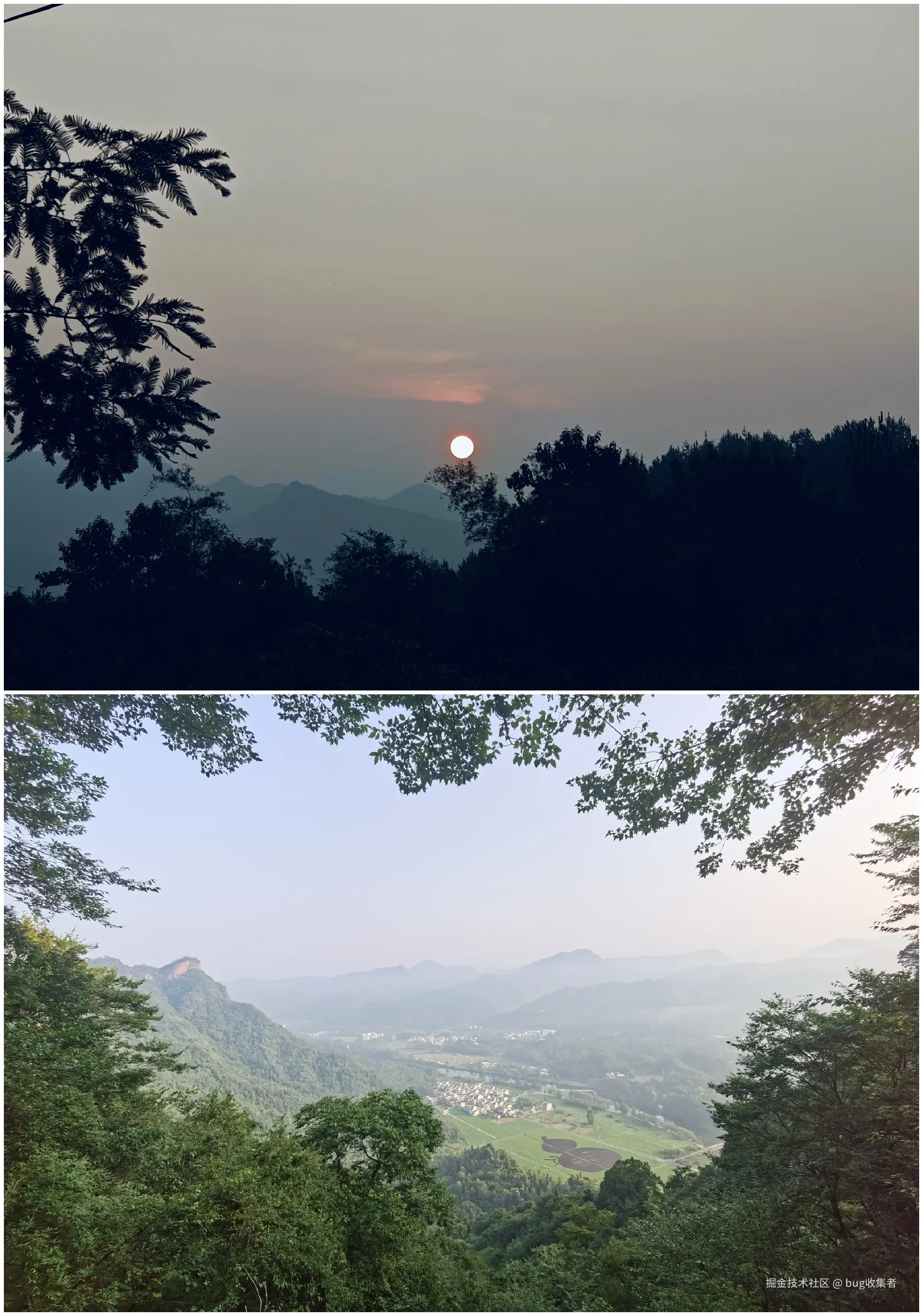 bug收集者于2024-08-19 09:29发布的图片