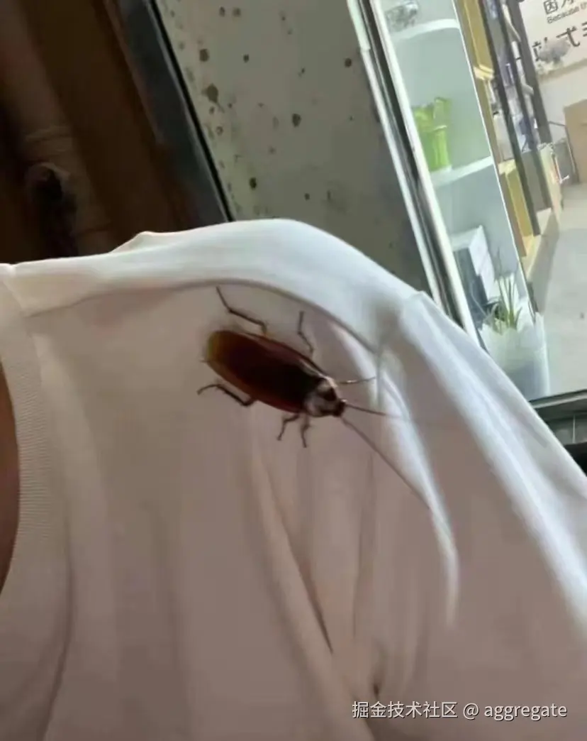 aggregate于2024-09-04 13:40发布的图片